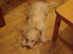 Resize of DSC06256.JPG